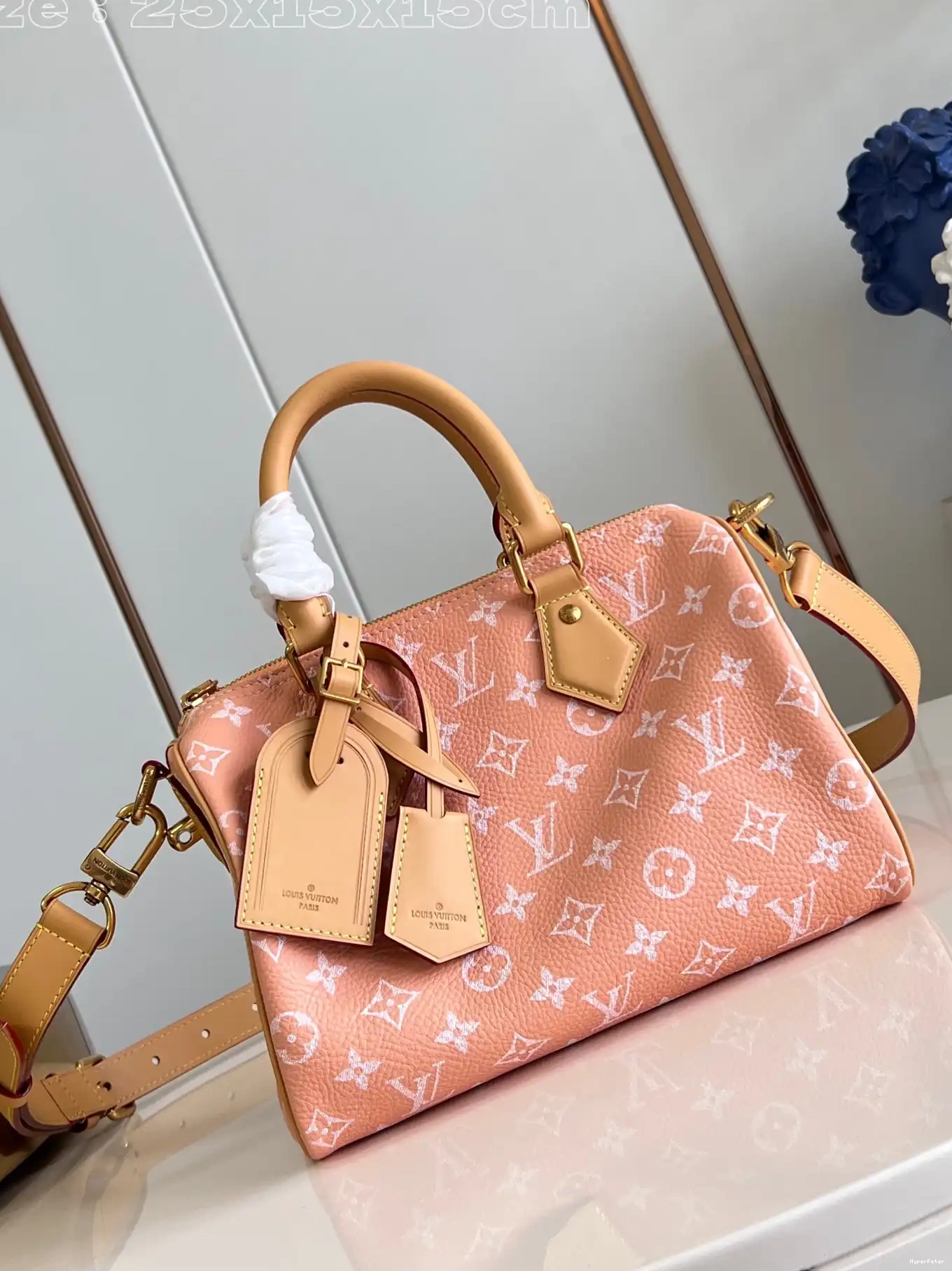SPEEDY Louis Vuitton 25 0706